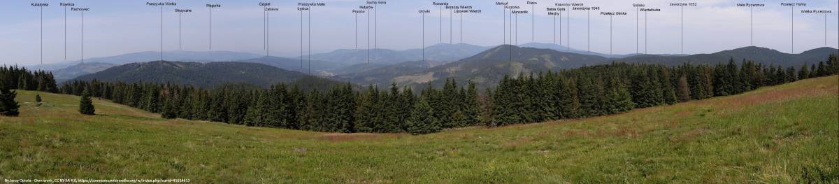 Panorama widokowa z Bendoszki Wielkiej
