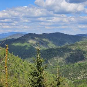 Bendoszka Wielka (1144 m n.p.m.) - bendoszka wielka 3