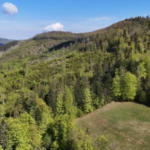 Bendoszka Wielka (1144 m n.p.m.) - bendoszka wielka 4