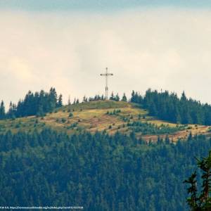 Bendoszka Wielka (1144 m n.p.m.) - bendoszka z praszywki