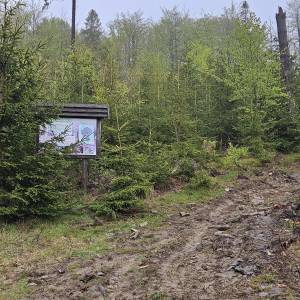 Rezerwat przyrody Dziobaki - niebieski szlak przy rezerwacie dziobaki 13