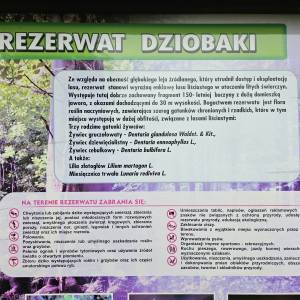Rezerwat przyrody Dziobaki - niebieski szlak przy rezerwacie dziobaki 5