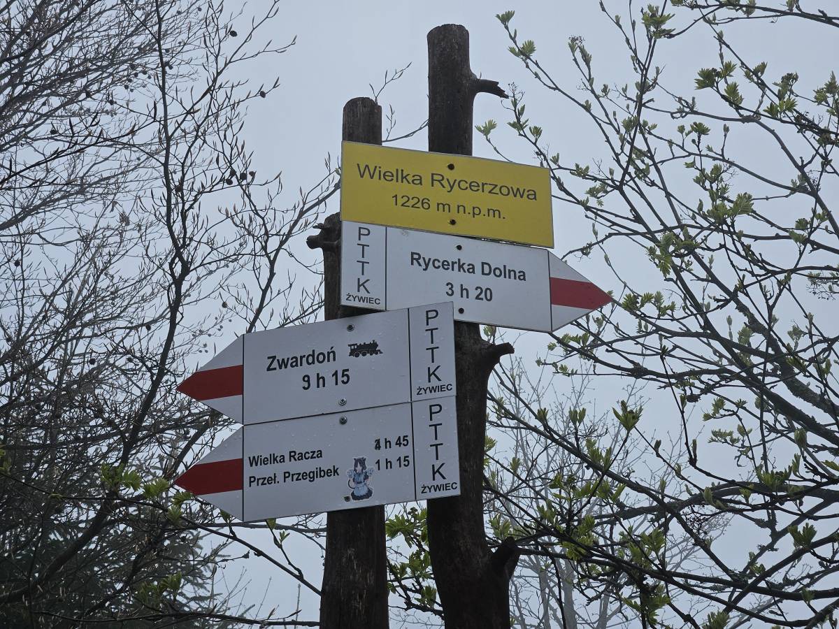 Wielka Rycerzowa (1226 m n.p.m.) - wielka rycerzowa 2026 05 2