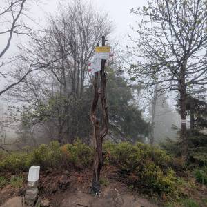 Wielka Rycerzowa (1226 m n.p.m.) - wielka rycerzowa 2026 05 1