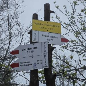 Wielka Rycerzowa (1226 m n.p.m.) - wielka rycerzowa 2026 05 2