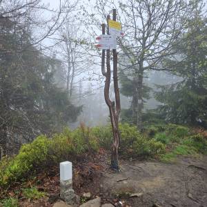 Wielka Rycerzowa (1226 m n.p.m.) - wielka rycerzowa 2026 05 4