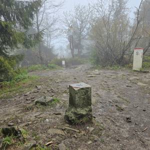 Wielka Rycerzowa (1226 m n.p.m.) - wielka rycerzowa 2026 05 7