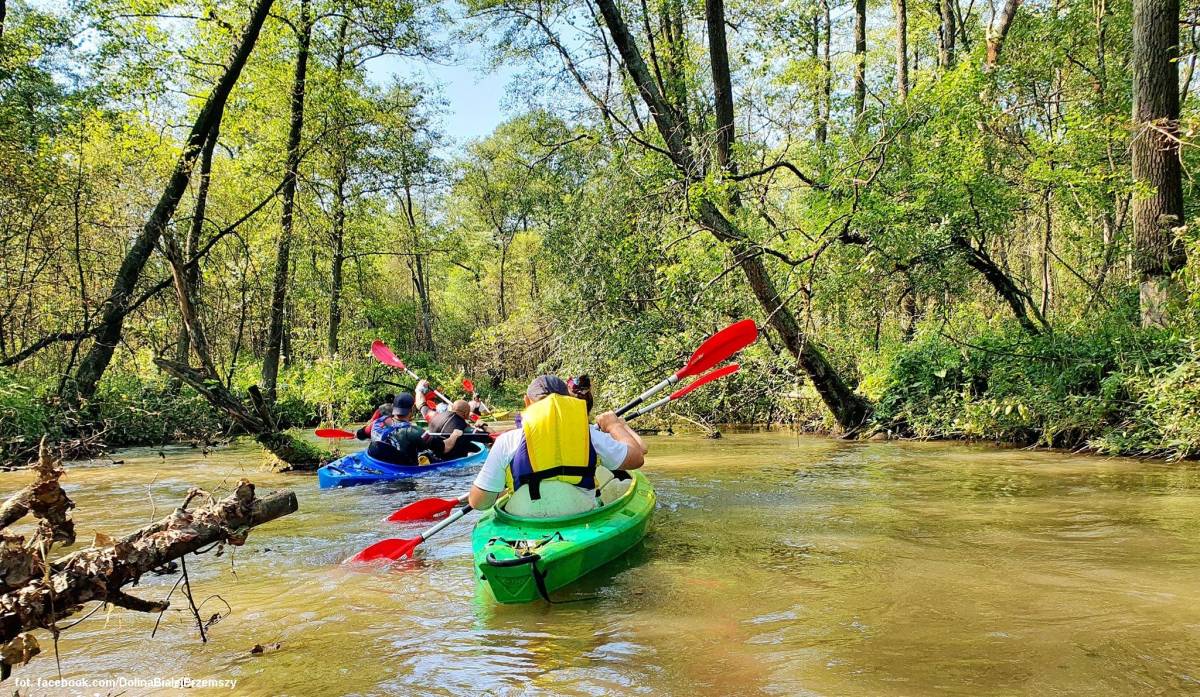 Spływ kajakowy Białą Przemszą - splyw kajakowy biala przemsza 1