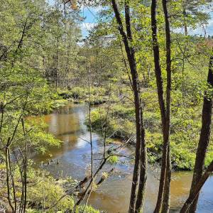 Spływ kajakowy Białą Przemszą - splyw kajakowy biala przemsza 2
