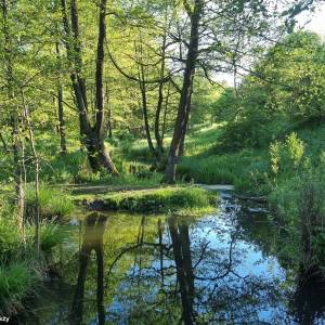 Spływ kajakowy Białą Przemszą - splyw kajakowy biala przemsza 3