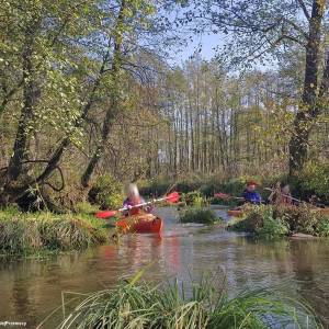 Spływ kajakowy Białą Przemszą - splyw kajakowy biala przemsza 6