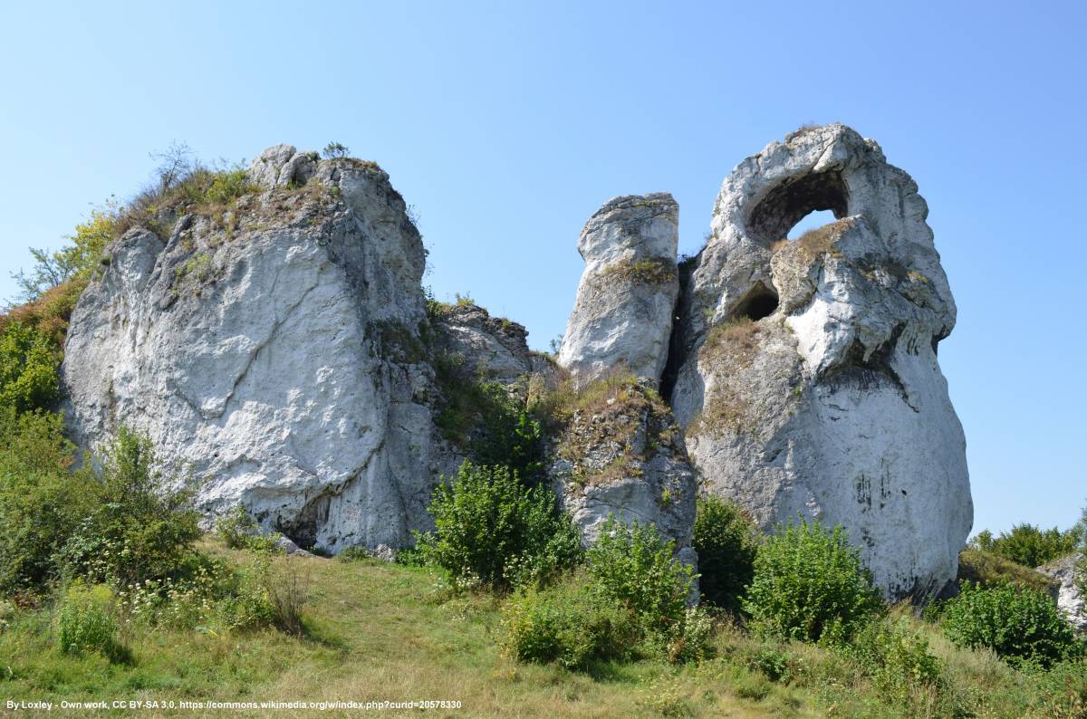 Okiennik Wielki - okiennikwielki2