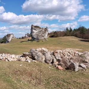 Grzęda Mirowsko-Bobolicka - grzeda mirowsko bobolicka 1