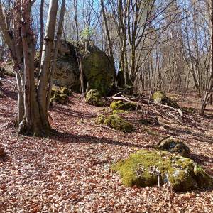 Grzęda Mirowsko-Bobolicka - grzeda mirowsko bobolicka 2