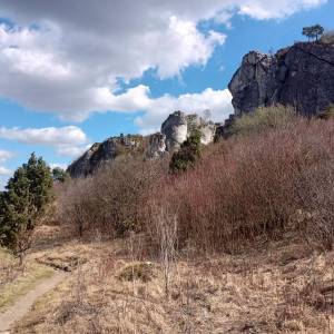 Grzęda Mirowsko-Bobolicka - grzeda mirowsko bobolicka 2