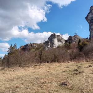 Grzęda Mirowsko-Bobolicka - grzeda mirowsko bobolicka 26