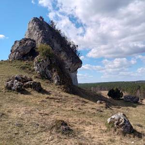 Grzęda Mirowsko-Bobolicka - grzeda mirowsko bobolicka 3