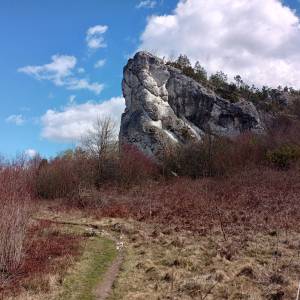 Grzęda Mirowsko-Bobolicka - grzeda mirowsko bobolicka 45