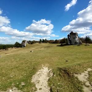 Grzęda Mirowsko-Bobolicka - grzeda mirowsko bobolicka 61