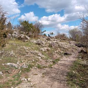 Grzęda Mirowsko-Bobolicka - grzeda mirowsko bobolicka 67