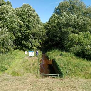 Spływ Białką Lelowską - splyw pontonowy bialka w lelowie 2025 08 3