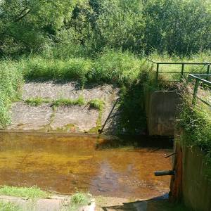 Spływ Białką Lelowską - splyw pontonowy bialka w lelowie 2025 08 9