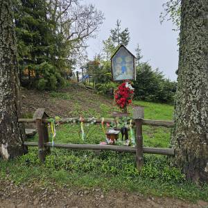 Przelęcz Przegibek w Beskidzie Żywieckim - przelecz przegibek w beskidzie zywieckim 2026 05 18 2