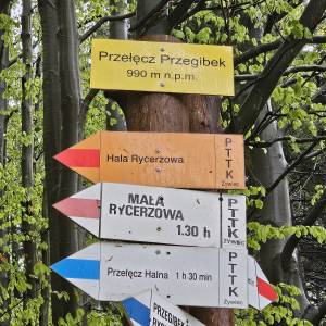 Przelęcz Przegibek w Beskidzie Żywieckim - przelecz przegibek w beskidzie zywieckim 2026 05 18 29