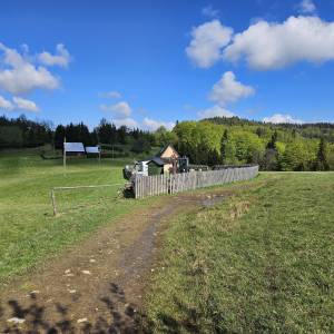 Przelęcz Przegibek w Beskidzie Żywieckim - przelecz przegibek w beskidzie zywieckim 2026 05 19 12