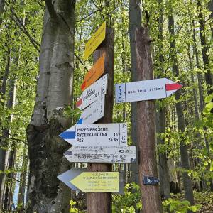 Przelęcz Przegibek w Beskidzie Żywieckim - przelecz przegibek w beskidzie zywieckim 2026 05 19 19