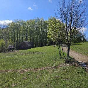 Przelęcz Przegibek w Beskidzie Żywieckim - przelecz przegibek w beskidzie zywieckim 2026 05 19 8