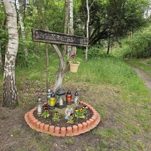 Kapliczka papieska w Kaletach (Drutarnia) - kapliczka papieska w kaletach 10