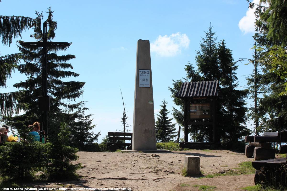 Turbacz (1310 m n.p.m.) - turbacz 5