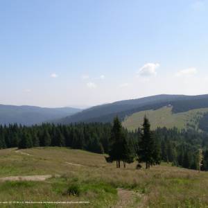 Turbacz (1310 m n.p.m.) - gorce widok z turbacza 2