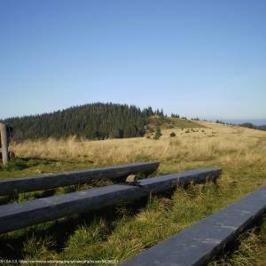 Turbacz (1310 m n.p.m.) - widok na hale turbacz i czolo turbacza 1258 m n p m panoramio