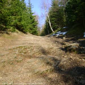 Skalnik (945 m n.p.m.) - skalnik 945 m n p m 5