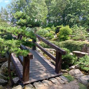 Ogród japoński Siruwia w Przesiece - ogrod japonski siruwia w przesiecie 20