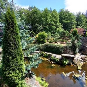 Ogród japoński Siruwia w Przesiece - ogrod japonski siruwia w przesiecie 24