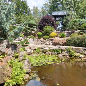 Ogród japoński Siruwia w Przesiece - ogrod japonski siruwia w przesiecie 27