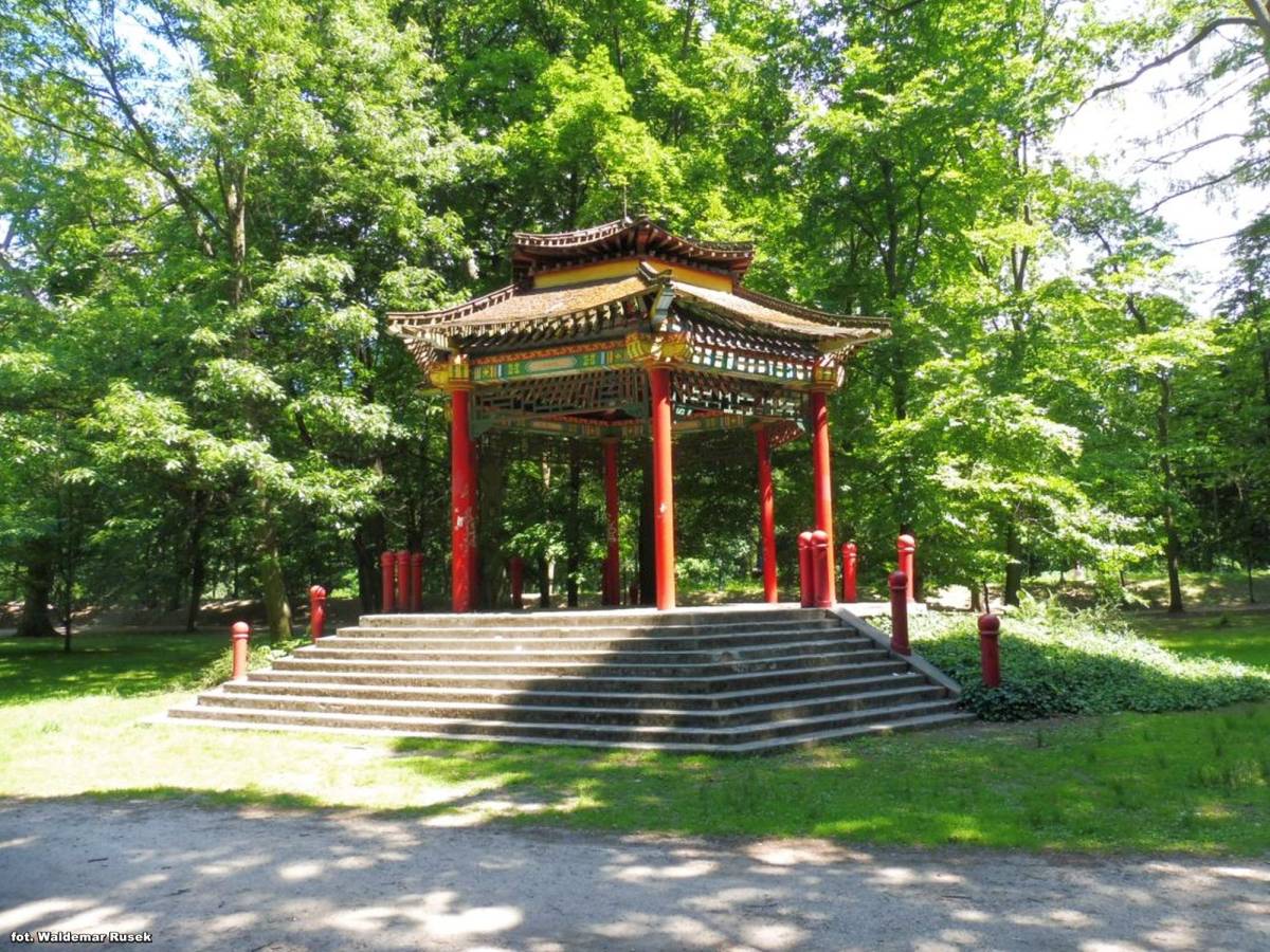 Park Miejski w Kaliszu - park miejski w kaliszu 21