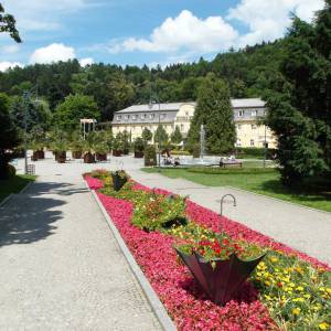 Park Zdrojowy w Kudowie-Zdroju - sam 8819
