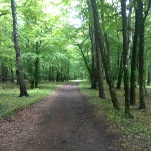 Park miejski Lipowica w Przemyślu - park miejski lipowica w przemyslu 2