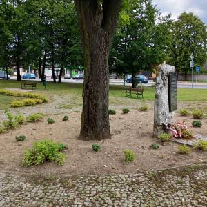 Pomnik Powstania Styczniowego w Janowie - pomnik powstania styczniowego w janowie 1
