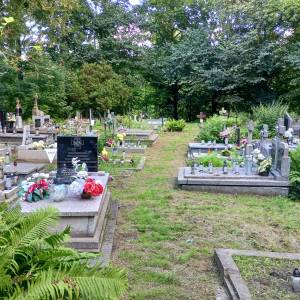 Grób wojenny Powstanńców Styczniowych w Lelowie - grob wojenny powstanncow styczniowych w lelowie 10