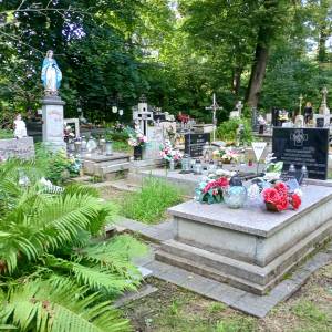 Grób wojenny Powstanńców Styczniowych w Lelowie - grob wojenny powstanncow styczniowych w lelowie 9