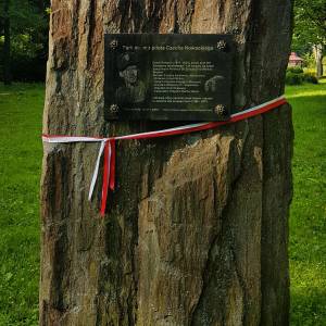 Park im. mjr pilota Czecha Nowackiego w Dusznikach-Zdroju - park im mjr pilota czecha nowackiego w dusznikach zdroju gw