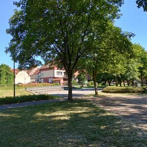 Bulwar nad Obrą w Międzyrzeczu - bulwar nad obra w miedzyrzeczu 12