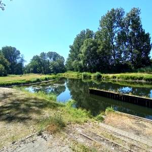 Bulwar nad Obrą w Międzyrzeczu - bulwar nad obra w miedzyrzeczu 17