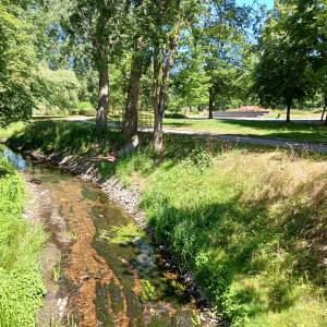 Bulwar nad Obrą w Międzyrzeczu - bulwar nad obra w miedzyrzeczu 4