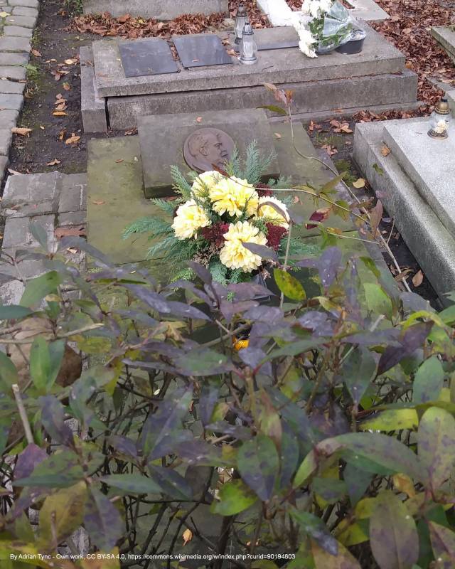 Grób Jana Wysockiego w Katowicach - jan wysocki grave